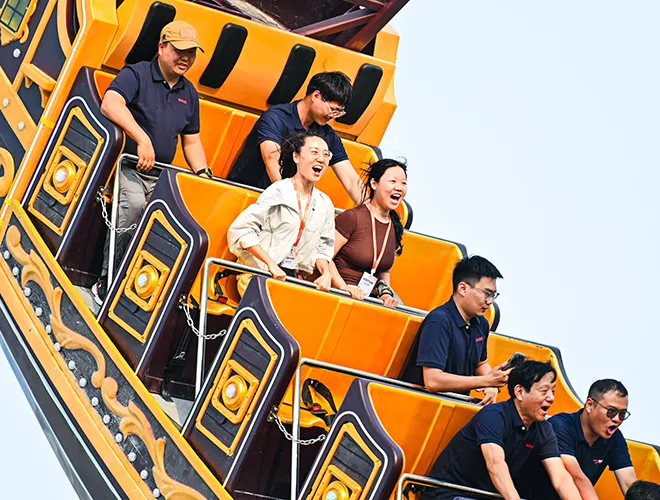pirate ship rides